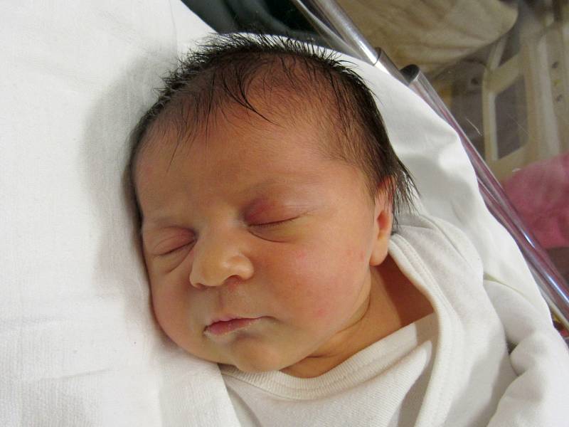 Rebecca Válková se narodila Zlatě Válkové z Krásné Lípy 14. listopadu v liberecké porodnici. Měřila 49 cm a vážila 3,71 kg.