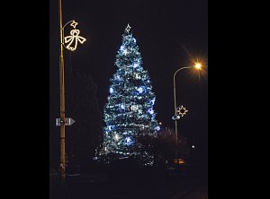 Vánoční strom ve Velkém Šenově.