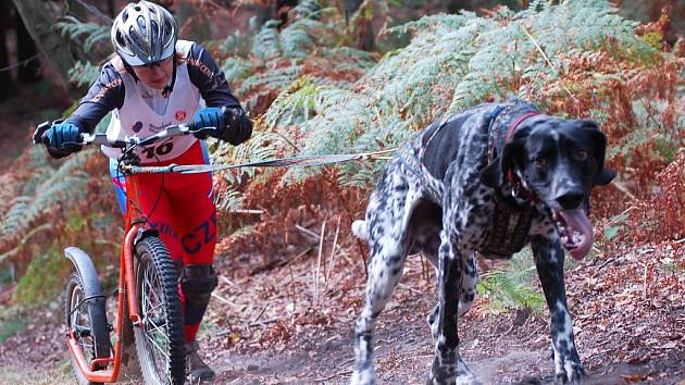 Do Děčína opět dorazili příznivci canicrossu a bikejöringu z Česka i dalších zemí Evropy