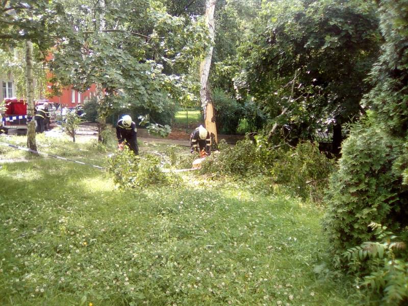 Bouřka zasáhla také břízu mezi domy na křižovatce Přemyslovy a Rakovnické ulice.