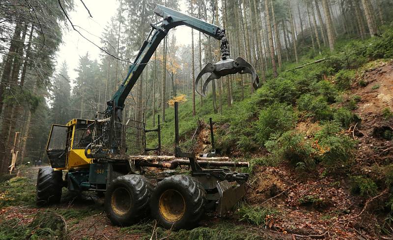 Lesní dělníci likvidují škody po nedělní vichřici v národním parku.