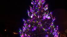 Vánoční strom v Rybništi