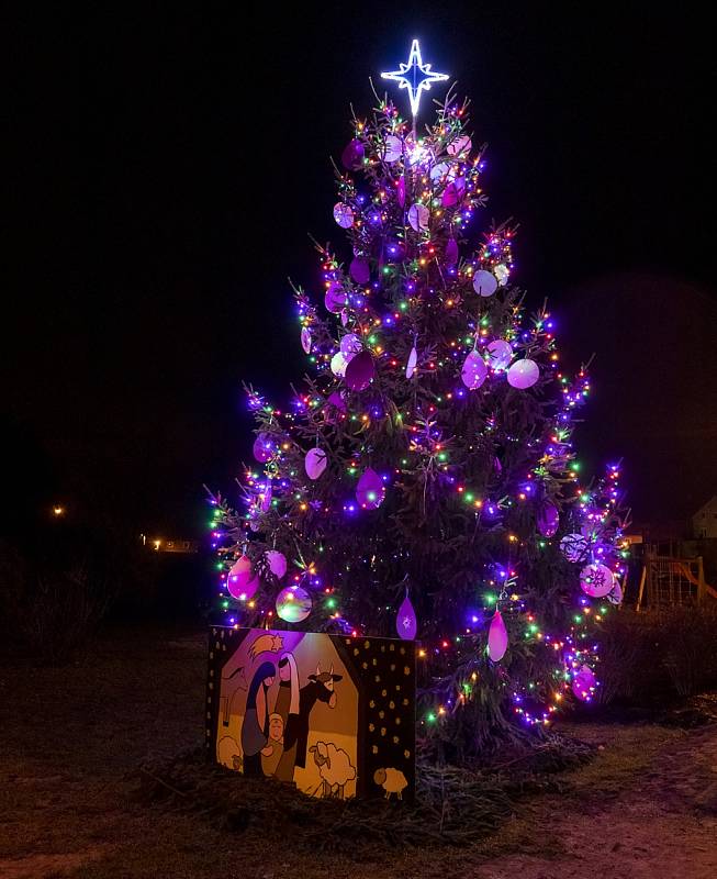 Vánoční strom v Rybništi