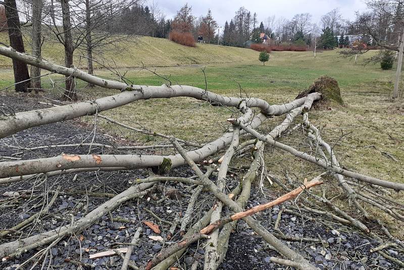 Vítr vyvrátil strom u parkoviště u kina v Krásné Lípě