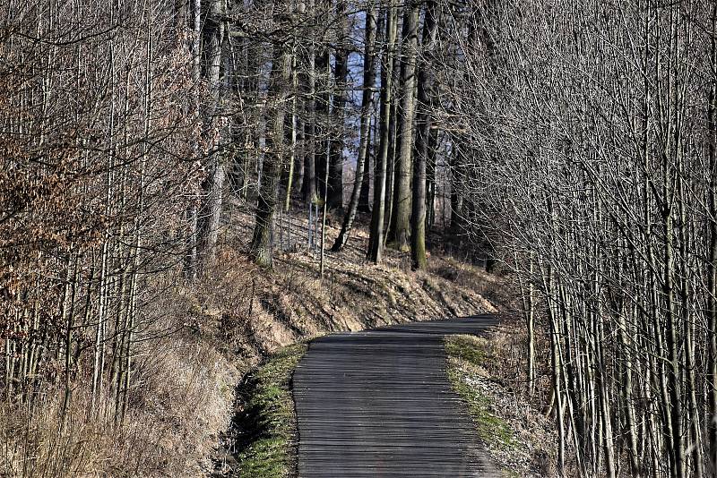 K vraždě došlo v pátek večer pod vrchem Chmelník na okraji Děčína.