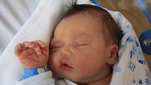 Markétě Pitrové z Markvartic se 12. dubna v 6.22 v děčínské porodnici narodil syn Pavlík Pitra. Měřil 51 cm a vážil 3,77 kg.