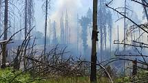 Ve Hřensku hasiči druhý den bojují s rozsáhlým lesním požárem.
