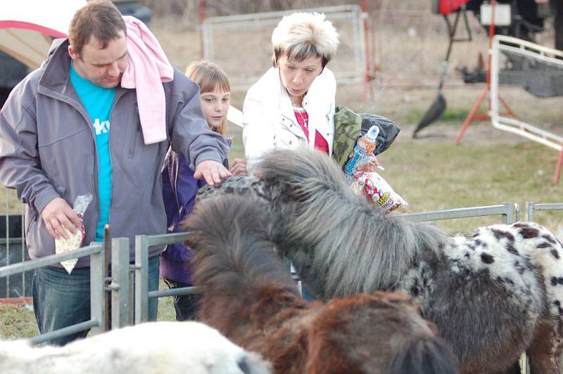 CIRKUS Berousek Sultán v Děčíně.