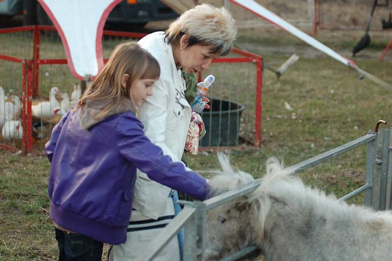 CIRKUS Berousek Sultán v Děčíně.