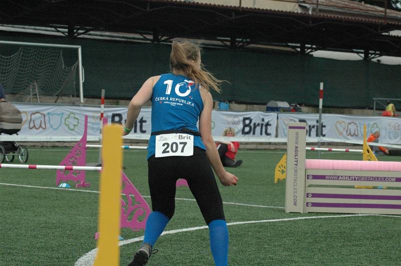 MĚSTSKÝ STADION v Děčíně hostil závody agility.