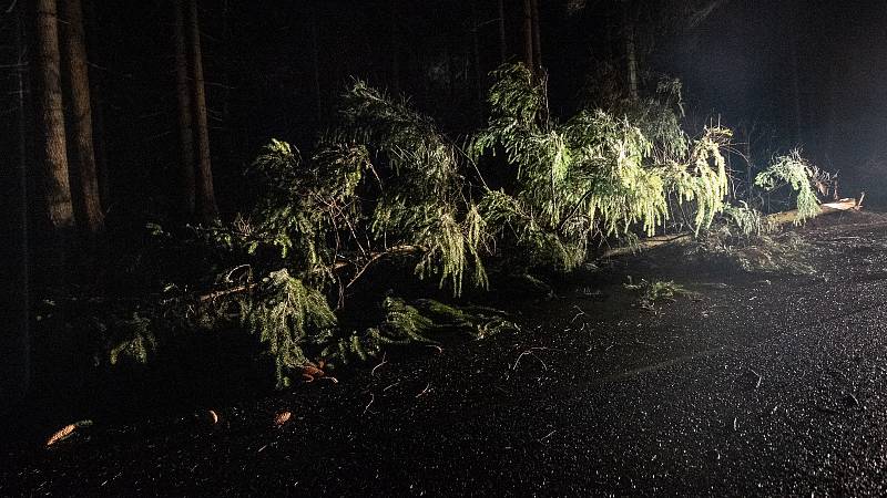 Strom mezi Studánkou a Krásnou Lípou nápor větru nevydržel.