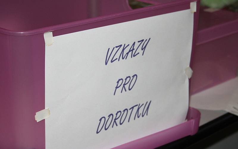 Koncert pro těžce nemocnou Dorotku v Děčíně 