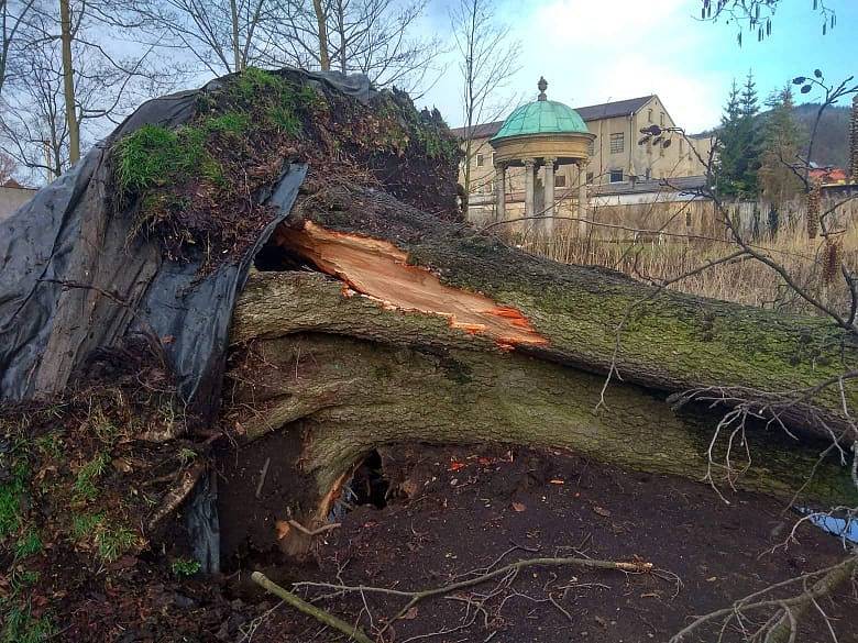 Vichřice polámala stromy i v jílovském zámeckém parku