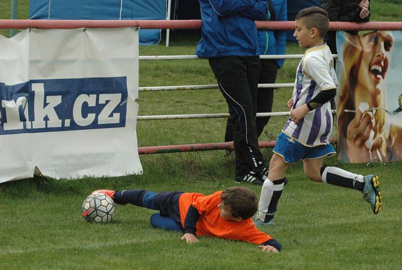 KVALITNÍ TÝMY se představily na turnaji přípravek na hřišti SK Děčín.