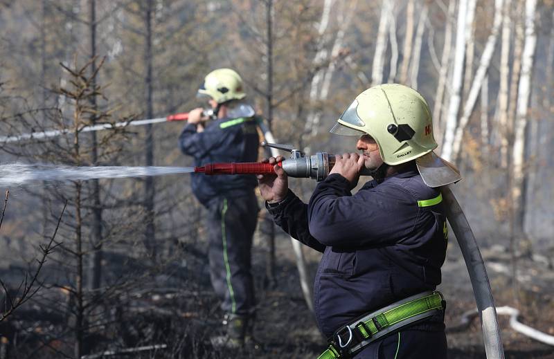 Lesní požár u Tisé hasiči likvidují už druhý den