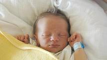 Veronice Šafkové z Děčína se v ústecké porodnici 28. června ve 20.03 hodin narodil syn Petr Schod. Měřil 51 cm a vážila 3,5 kg.   