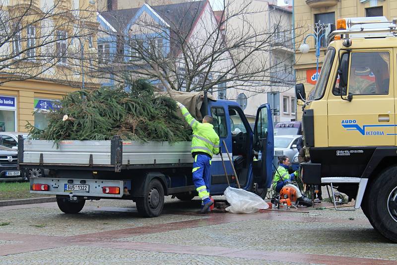 V pátek přivezli vánoční strom na Masarykovo náměstí v Děčíně.