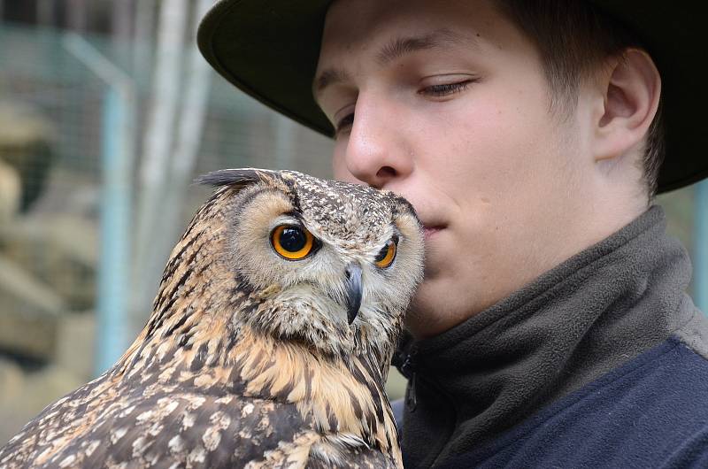 SOBOTA PATŘILA v zoo svátku zvířat. 