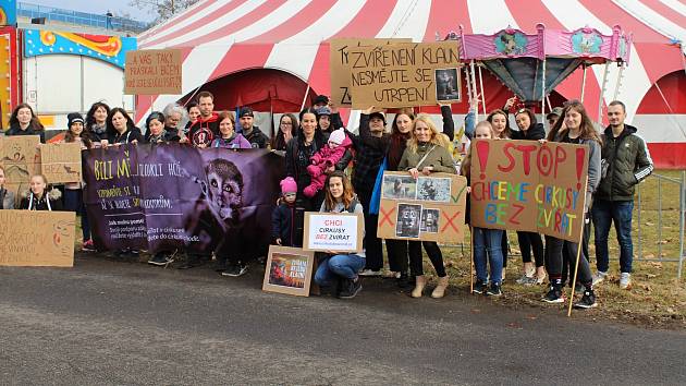 Proti cirkusům přišlo v Děčíně protestovat přibližně 20 lidí.