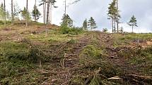 Těžbou po kůrovci zasažené lesy na Maxičkách.