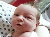 Michaele Fojtové z Jiříkova se 30. března v 11.54 v rumburské porodnici narodil syn Milan Fojta. Měřil 54 cm a vážil 3,73 kg.