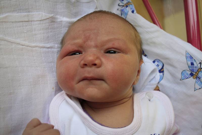 Aleně Břízové z Děčína se 20. prosince v 19.48 v děčínské porodnici narodila dcera Michaelka Kroftová. Měřila 52 cm a vážila 4,22 kg.