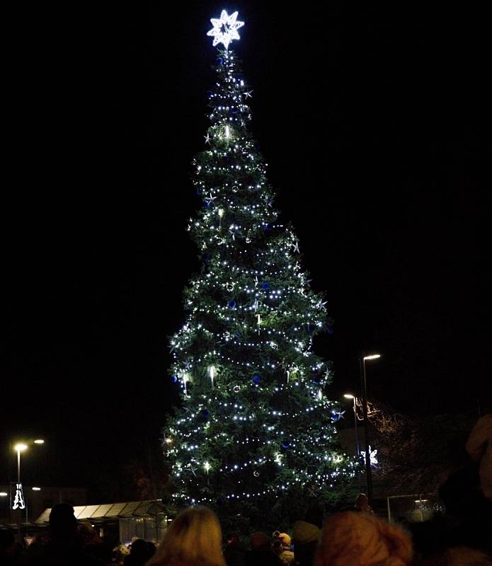 Vánoční strom ve Varnsdorfu