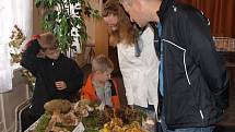 Tradiční výstava hub se konala v kulturním domě ve Šluknově. 