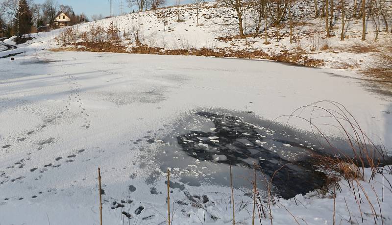 Muž zachránil dvě tonoucí se děti v rybníku v Krásné Lípě na Děčínsku, pod kterými se prolomil led.