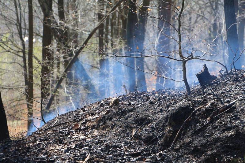 Na kopci Jehla nad Českou Kamenicí ve čtvrtek 4. dubna hořelo