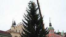 Stavění vánočního stromu na Masarykově náměstí v Děčíně.