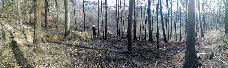 Na kopci Jehla nad Českou Kamenicí ve čtvrtek 4. dubna hořelo