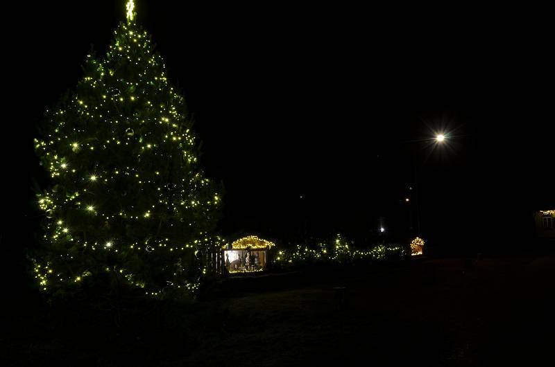 Vánoční strom v Srbské Kamenici.