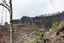 V místech, ze kterých dříve nebyla Pravčická brána vidět kvůli vysokým stromům, se i rok po požáru naskýtají výhledy, které už za pár let opět nebudou k dispozici.