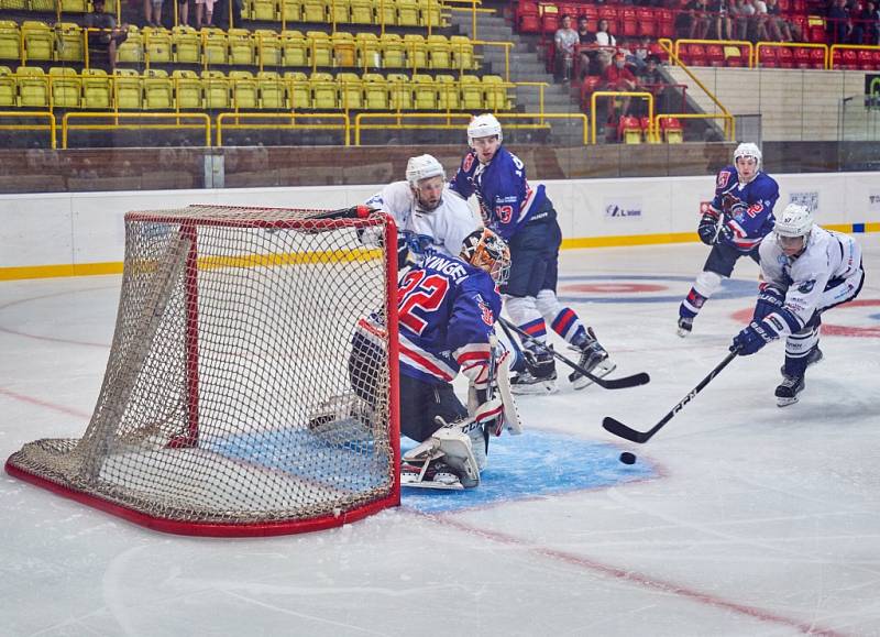 VÍTĚZSTVÍ. Hokejisté Děčína vyhráli BAK Cup 2019.