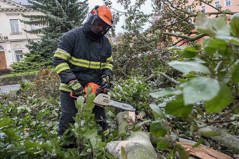 Řádění vichřice ve Varnsdorfu nevydržel 200 let starý buk.