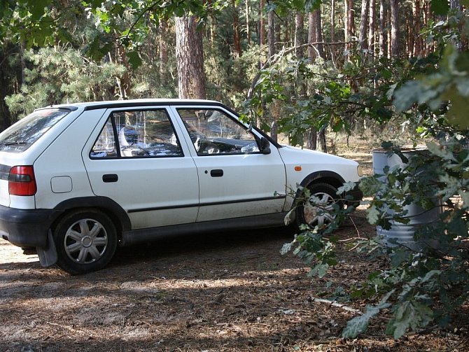 Auto parkující v lese. Ilustrační foto.
