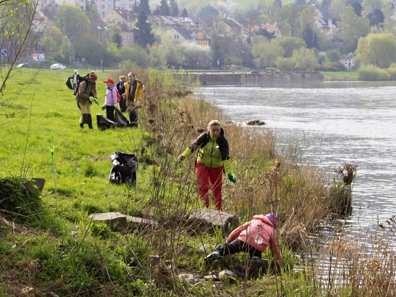 Dobrovolníci uklízejí labský břeh.