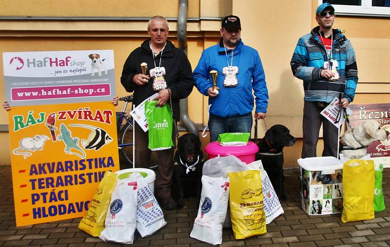 Závod vodících psů ve Varnsdorfu.