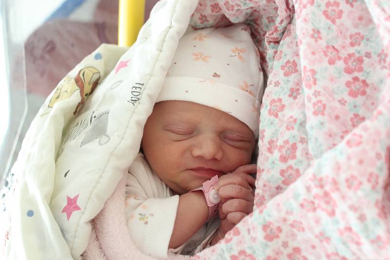 Stella Hájková se narodila v pondělí 23. května v 18:11 rodičům Sáře Saidlové a Dominiku Hájkovi. Měřila 45 cm a vážila 2,37 kg.