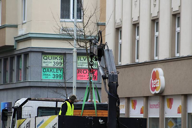 Stěhování květináčů z ulice Prokopa Holého.