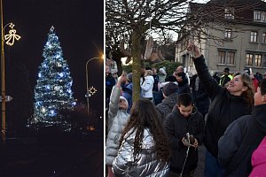 Nejkrásnější vánoční strom v Česku je ve Velkém Šenově.