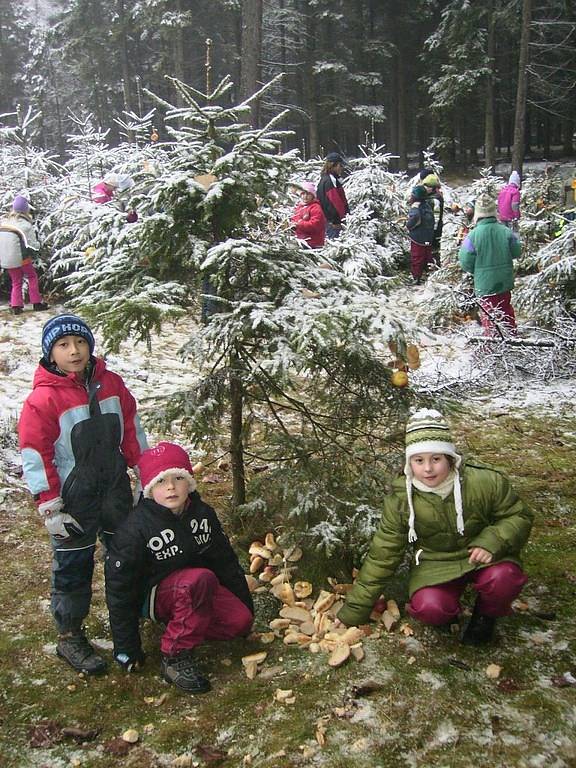 S vánoční nadílkou vyrazili do lesa