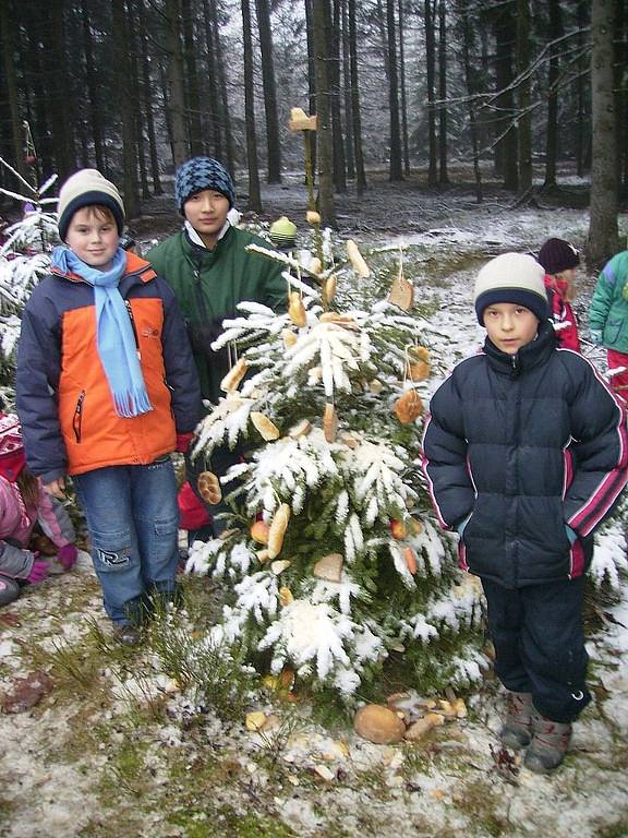 S vánoční nadílkou vyrazili do lesa