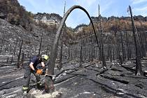 Požár v Českém Švýcarsku, sobota 6. srpna.