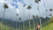 Valle del Cocora