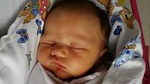 Rodičům Nikole a Lukáši Tesařovým se 30. ledna v 7.22 hodin v děčínské porodnici narodila dcera Karolína Tesařová. Měřila 51 cm a vážila 4,11 kg.
