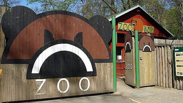 Medvěda má děčínská zoo v logu.