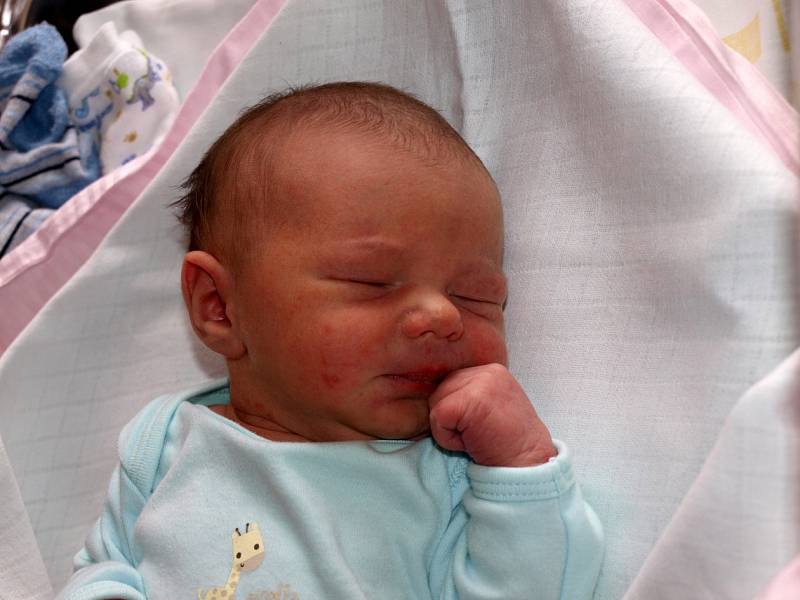 Angelice Svobodové z Dolní Poustevny se 13.dubna v 6.56 v rumburské porodnici narodil syn Ondřej Budina. Měřil 48 cm a vážil 3,01 kg. 