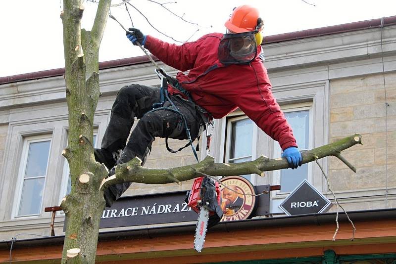 KÁCENÍ. Kaštany před vlakovým nádražím již padly. 